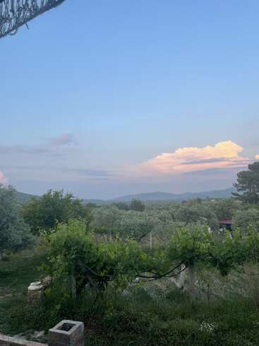 A peaceful countryside landscape features lush green grapevines, trees, distant mountains, and a bright sky with beautiful clouds illuminated by the setting sun. Calm and serene.