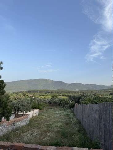 A serene rural landscape featuring green fields, olive trees, distant mountains, a blue sky with wispy clouds, and a rustic fence dividing the lush greenery.