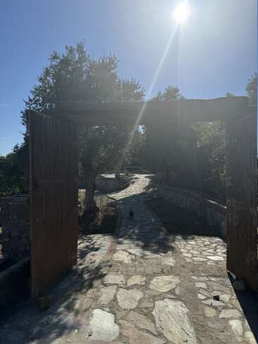 A stone pathway winds through an open wooden gate, surrounded by trees. The bright sun shines overhead, casting shadows, while a lone duck walks ahead.