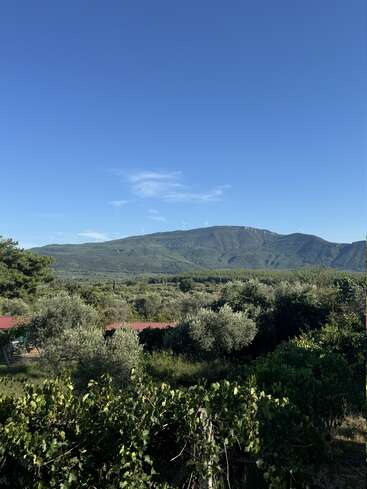 A clear blue sky frames a lush green landscape with trees, shrubs, and a distant mountain topped with wind turbines. Small red rooftops peek through.