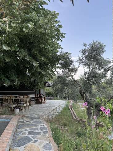 A tranquil garden scene with a stone pathway, rustic wooden chairs, lush green trees, pink flowers, and a cozy house under a clear blue sky.