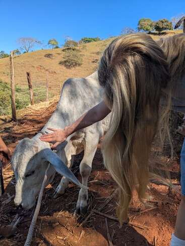 Une jeune personne aux longs cheveux blonds caresse doucement une vache blanche sur une colline ensoleillée, entourée de clôtures en bois, d'un sol sec et d'arbres épars.