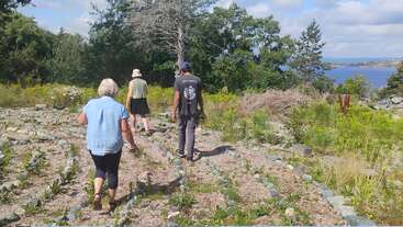 Three people walk through a stone labyrinth in a natural setting, surrounded by greenery, wildflowers, and trees, with a scenic water view in the background.