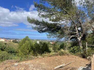 Paisaje soleado con pinos, tejados lejanos, cielo azul y nubes dispersas. El primer plano muestra tierra seca y tablones de madera, evocando un apacible paisaje rural.