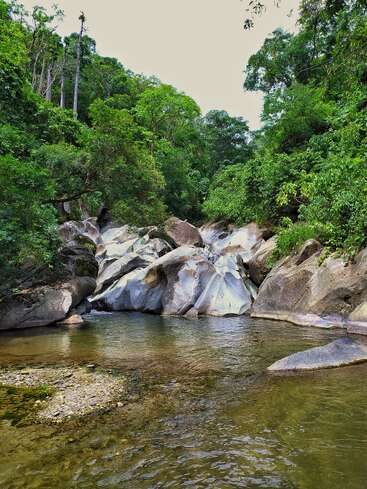 A serene scene of a clear river flows over smooth rocks, surrounded by lush green forest and tall trees, under an overcast, light sky. Peaceful nature.