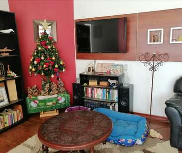 A imagem mostra uma sala de estar aconchegante com uma árvore de Natal, estantes de livros, uma TV e uma cama de cachorro, exalando uma atmosfera calorosa e convidativa.