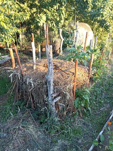 Dieses Bild zeigt ein Hochbeet, das aus Holzpfählen und natürlichen Materialien gebaut wurde. Die Pflanzen wachsen oben, umgeben von üppigem Grün und Sonnenlicht.