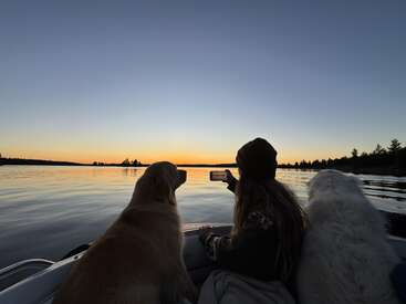 Eine Person und zwei Hunde sitzen in einem Boot und schauen sich den ruhigen Sonnenuntergang über einem stillen See an. Die Person hält den Moment mit ihrem Handy fest.