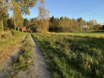A gravel path winds through green grass and trees, leading to red houses nestled at the forest's edge under a clear, sunny blue sky.
