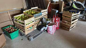 The image shows crates and bags filled with apples, stacked on wooden pallets in a storage area. Cardboard boxes, a stroller, and various items surround them.