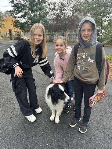 Three smiling children stand outdoors on a paved road, happily petting a black and white dog. Trees and houses are visible in the background.