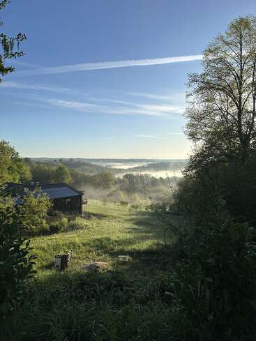 Morning sunlight bathes a peaceful countryside scene, casting soft light over a grassy field, scattered trees, a house, distant mist, and clear blue sky.