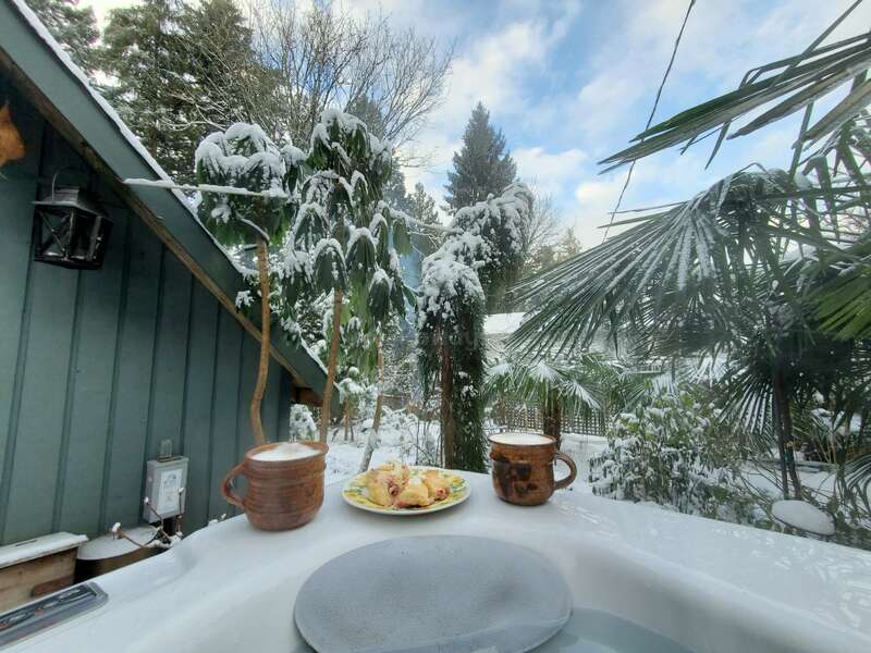 Dos tazas y un plato de bollería descansan en el borde de un jacuzzi nevado, rodeados de árboles y palmeras cubiertos de nieve bajo un cielo azul parcialmente nublado.