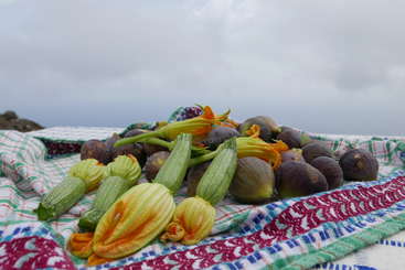 La imagen muestra una colección de productos frescos, como calabacines, berenjenas y otras verduras, dispuestos ordenadamente sobre una mesa, mostrando una variedad de alimentos ecológicos y saludables.