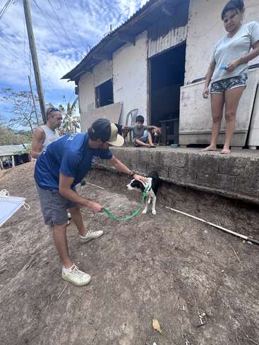 Um homem segura gentilmente um cachorro preto e branco na coleira do lado de fora de uma casa rústica, enquanto três pessoas e uma criança observam a cena nas proximidades.