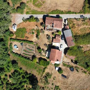 This aerial image features a small rural property with red-roofed houses, gardens, surrounding greenery, a dirt road, and cultivated farmland, all nestled among lush vegetation.