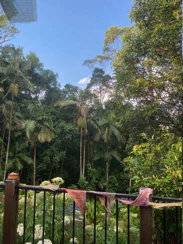 Une forêt tropicale luxuriante, avec de grands palmiers et une végétation dense sous un ciel d'un bleu éclatant, vue depuis un balcon orné de drapeaux colorés défraîchis et d'une plante en pot.
