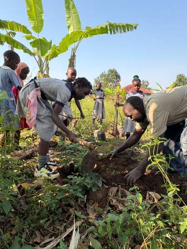 Un grupo de escolares y un adulto están al aire libre, trabajando juntos para plantar un árbol en un jardín bajo la brillante luz del sol, rodeados de plataneros.