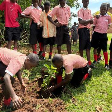 A group of schoolchildren in matching uniforms are outdoors, actively engaged in planting a young tree together, learning about the environment and teamwork under sunny skies.