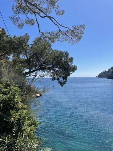 Une eau bleue cristalline s'étend sous un ciel radieux. Les branches de pins en surplomb encadrent la baie paisible, tandis que des bateaux au loin et une végétation luxuriante viennent parachever ce tableau côtier serein.