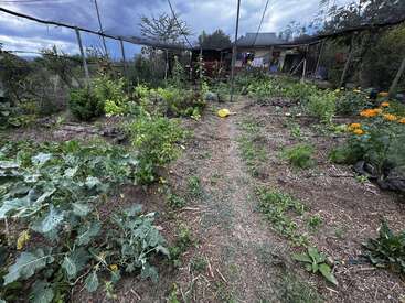 This image shows a lush garden with various plants, flowers, and crops. Paths divide the garden, and a house sits in the background under cloudy skies.