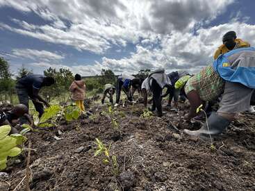 A group of people are working together outdoors, planting young tree seedlings in soil under a cloudy sky, demonstrating teamwork and environmental conservation in action.