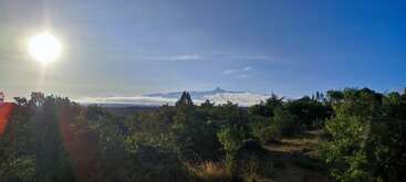 The image shows a bright sun in a clear blue sky, lush green trees in the foreground, and a distant mountain peak partially covered by clouds.