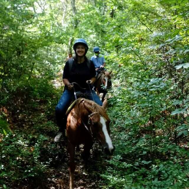 The image depicts two individuals riding horses through a wooded area, with the horse in the foreground facing the camera. The riders wear helmets and appear to be enjoying the ride.