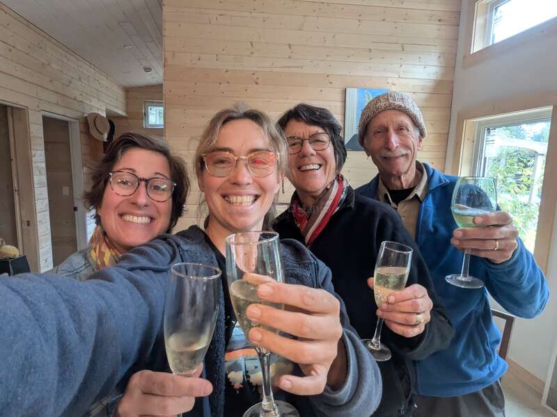 Quatro adultos sorridentes brindam com taças de vinho branco ou champanhe em uma sala aconchegante com painéis de madeira, comemorando juntos com alegria e cordialidade, capturando um momento feliz.