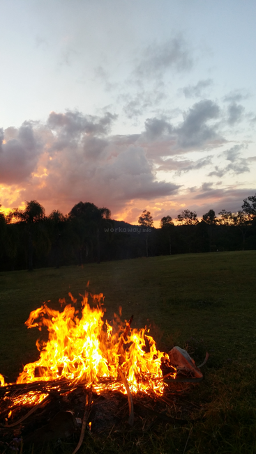 A imagem mostra um fogo vibrante queimando em um campo gramado ao pôr do sol, com árvores e um céu nublado visíveis ao fundo.