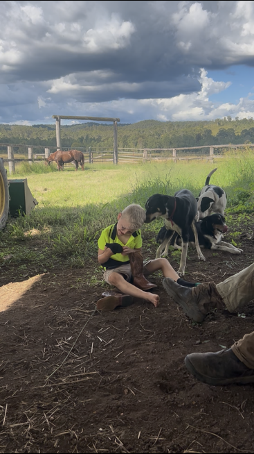 Um menino senta-se na terra, lutando com suas botas. Três cães o cercam, enquanto um cavalo pasta em um pasto cercado e iluminado pelo sol atrás dele.