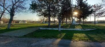 La imagen muestra un apacible parque con árboles que proyectan largas sombras, hierba verde, un camino pavimentado y la luz del sol colándose entre las ramas. Al fondo se ven casas.