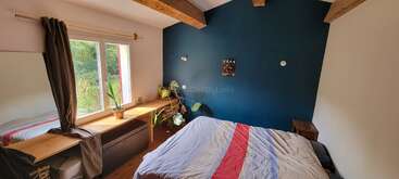 Une chambre confortable avec un plafond en bois, une grande fenêtre, un mur d'accent bleu, des plantes sur un bureau en bois et un lit recouvert d'une couette à rayures.