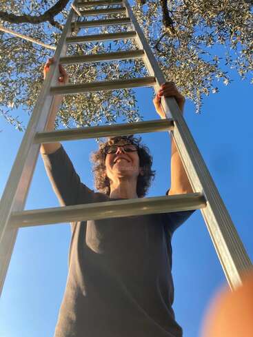 Eine lächelnde Person steht auf einer Leiter und streckt die Hand nach den Ästen eines Baumes aus, im Hintergrund strahlt die Sonne und der Himmel ist strahlend blau.