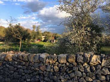 Eine rustikale Steinmauer im Vordergrund, blühende Bäume, saftig grünes Gras, Häuser in der Ferne und ein teilweise bewölkter blauer Himmel ergeben ein friedliches Landschaftsbild.
