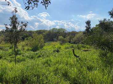 Une prairie verdoyante s'étend sous un ciel bleu éclatant parsemé de nuages, entourée d'arbres, d'arbustes et d'objets dissimulés, créant une atmosphère paisible et naturelle.