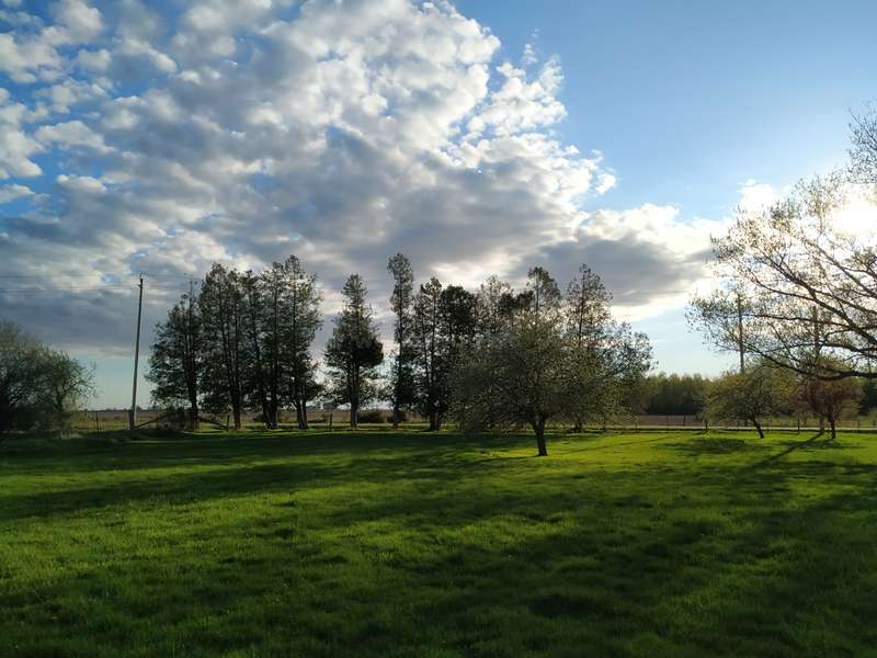 La imagen representa un paisaje sereno con un frondoso campo de hierba, árboles y un cielo azul con nubes blancas, que evoca una sensación de belleza natural y tranquilidad.