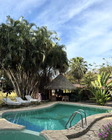 A tranquil pool is surrounded by lush palm trees, lounge chairs, flowering plants, and a thatched-roof gazebo under a bright blue, lightly clouded sky.