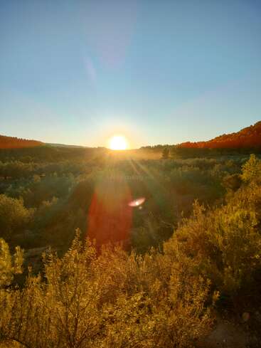 The image depicts a serene landscape with a vibrant sunset, surrounded by lush greenery and trees, set against a clear blue sky.