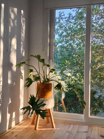 The image depicts a serene room with a large window, featuring a potted plant on a stool, surrounded by natural light and a view of trees outside.