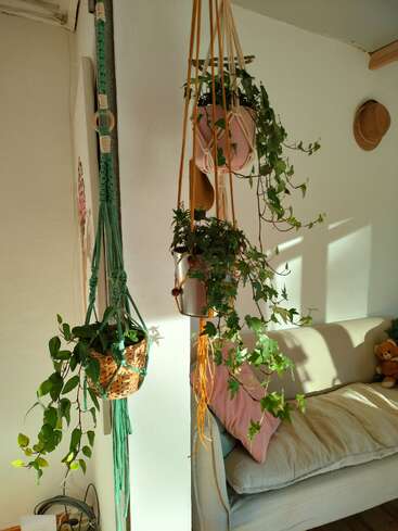 The image depicts a cozy room with two macrame plant hangers, a white couch, and a teddy bear, bathed in warm sunlight.