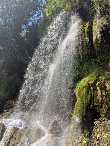 A beautiful waterfall cascades over lush, moss-covered rocks, surrounded by vibrant green foliage and trees. Sunlight sparkles through the falling water, creating a serene, natural scene.