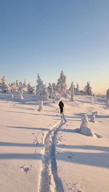 Une personne solitaire marche dans la neige profonde et intacte, laissant une trace vers les arbres recouverts de neige. Le ciel est dégagé et la lumière du soleil baigne le paisible paysage hivernal.