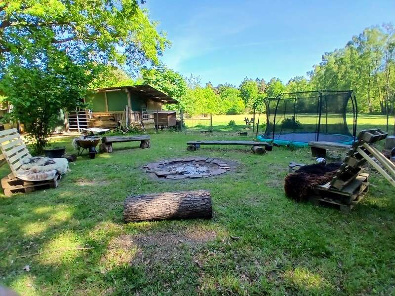 Un jardin paisible avec des bancs rustiques en bois entourant un foyer en pierre, un trampoline, des rondins, de l'herbe verte, des arbres et une remise aux allures de grange sous un ciel dégagé.