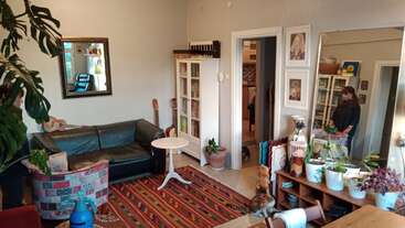 Un salon confortable et coloré présente un tapis à motifs, des plantes, des instruments, des étagères, un miroir et une femme qui s'y reflète. Deux chats sont assis sur le sol.