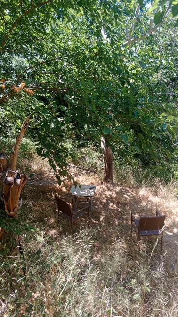 Sous un couvert d'arbres verdoyants, deux chaises et une table sont assises sur de l'herbe sèche ; un hamac et une souche d'arbre complètent ce cadre extérieur paisible.