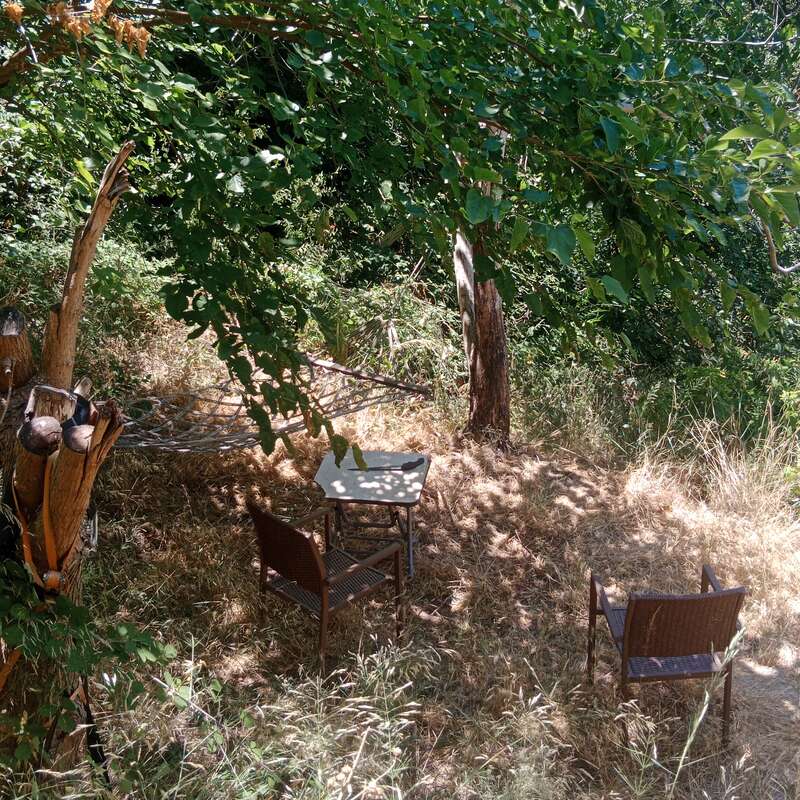 Under a canopy of lush green trees, two chairs and a table sit on dry grass; a hammock and tree stump complete this peaceful outdoor setting.