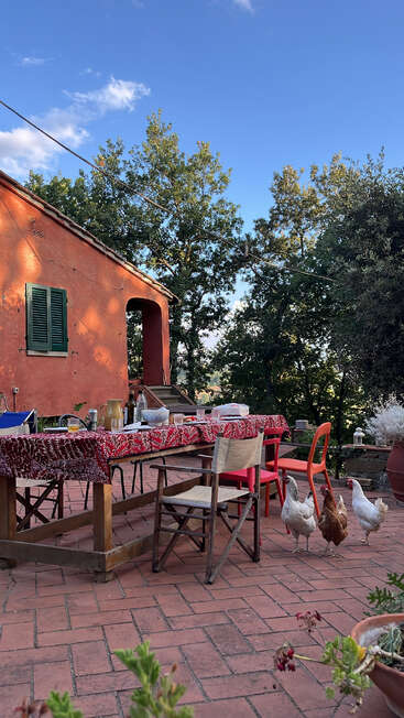 A rustic outdoor dining table with colorful chairs and a patterned tablecloth sits on a brick patio. Chickens wander nearby. Surrounded by trees and a terracotta house.