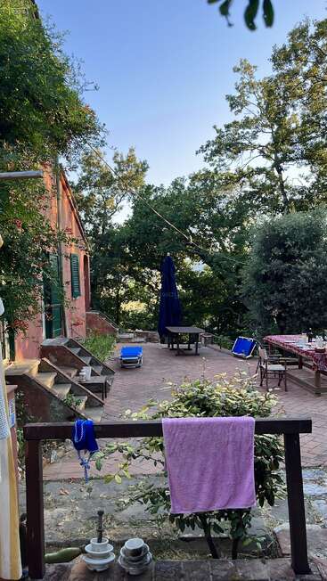 A peaceful outdoor patio scene with a red house, green shutters, patio furniture, towels drying, a set table, lush greenery, and a clear blue sky above.