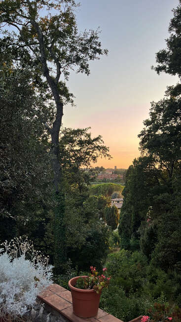 A serene garden view at sunset, with a potted plant on a ledge, lush green trees, and distant buildings under a pastel sky. Peaceful atmosphere.